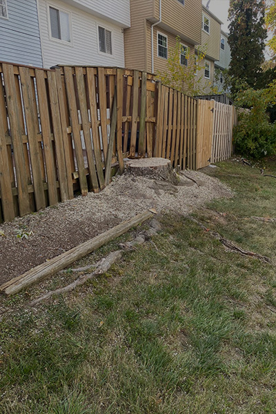 Stump Grinding